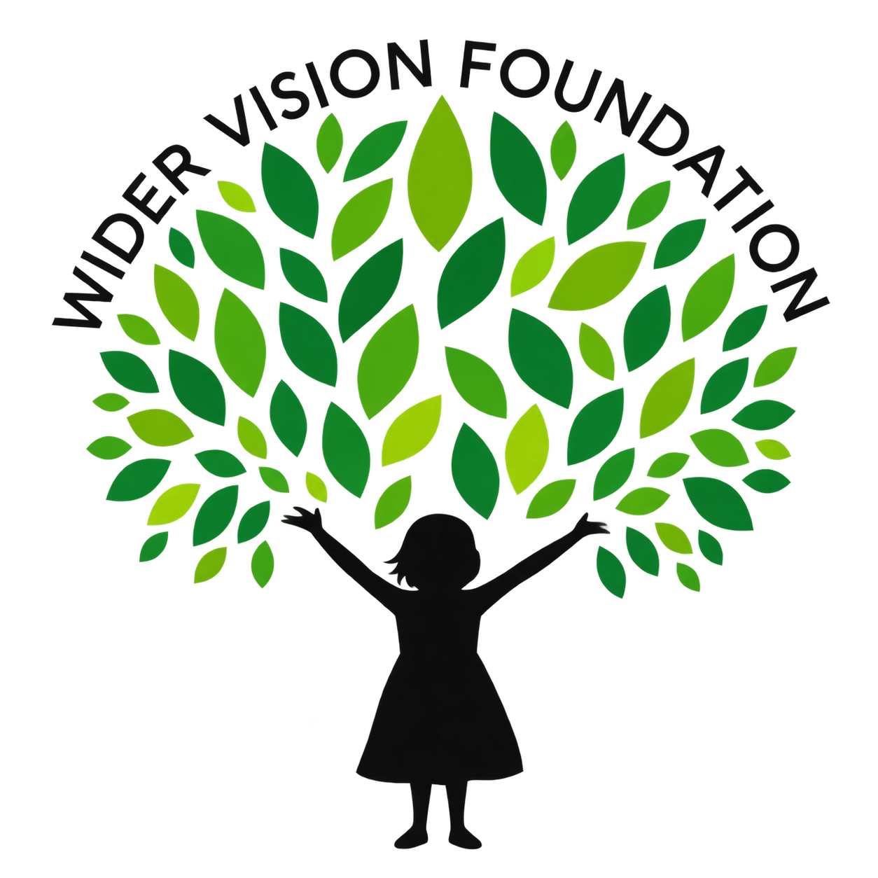 Wider Vision Foundation